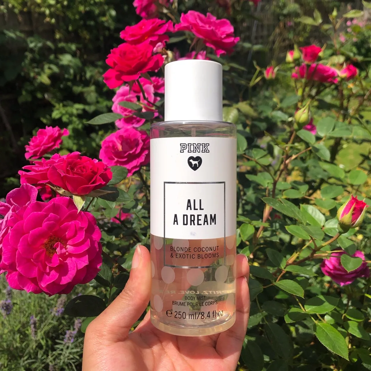 All A Dream Blonde Coconut & Exotic Blooms Body Mist 250ML Mujer