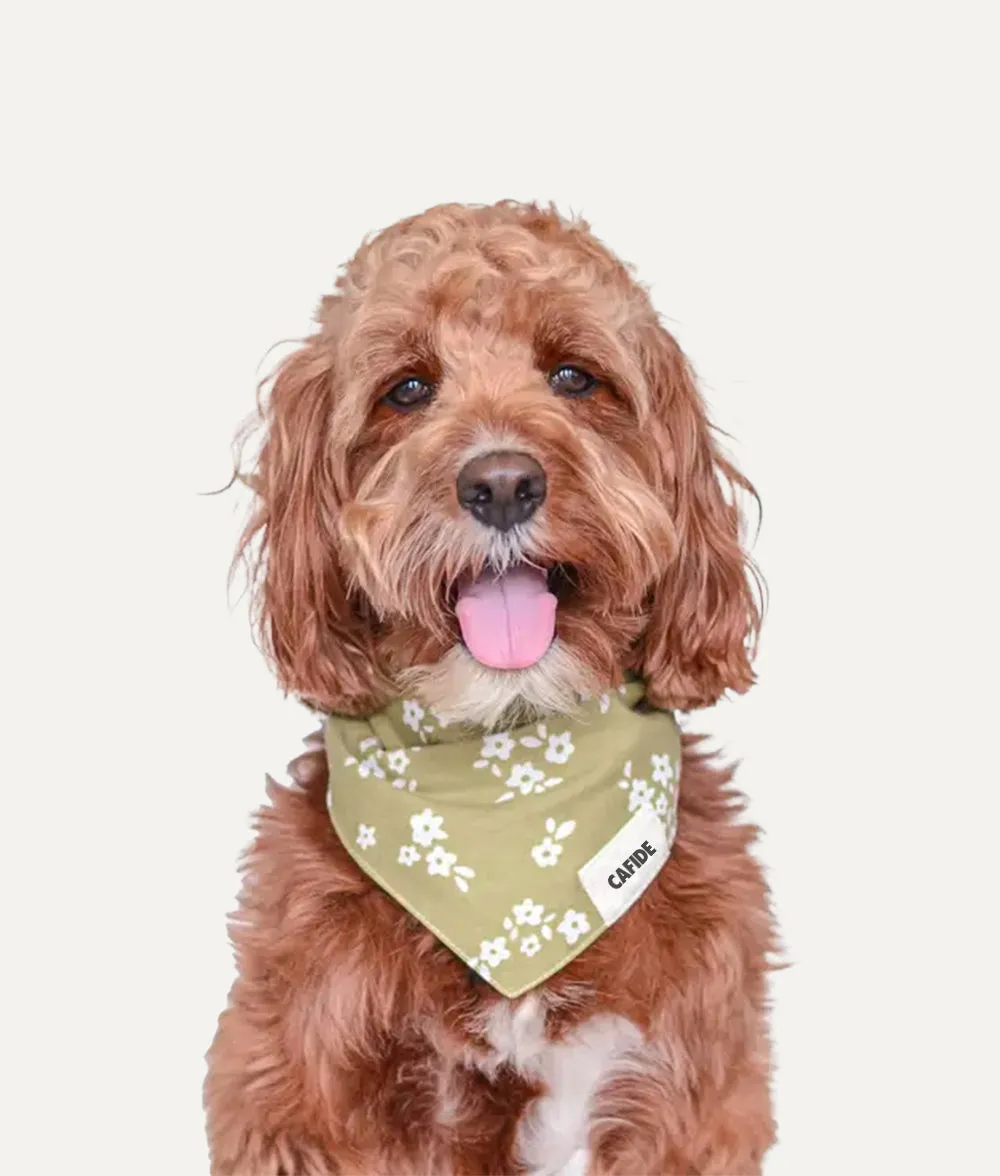 Bandana Perro Diseño Flores Verde, Nata